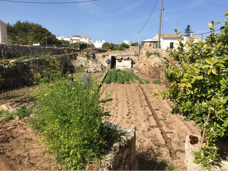 Hortal a la venta amb llum i aigua dins Ciutadella