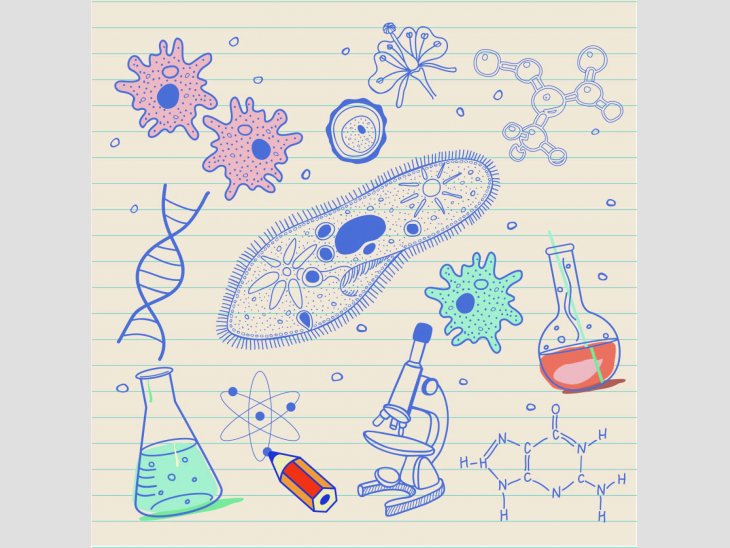 REPÀS D'ESTIU, PRIMÀRIA, ESO (matemàtiques, química, biologia) i Batxillerat (química, biologia)