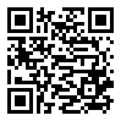 QR 1393