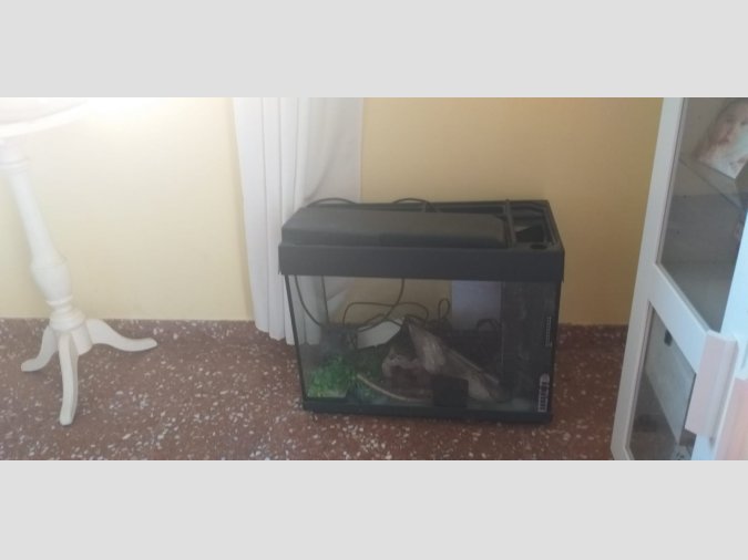 Venc peixera amb accessoris