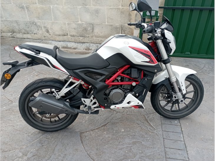 Benelli BN 251  1