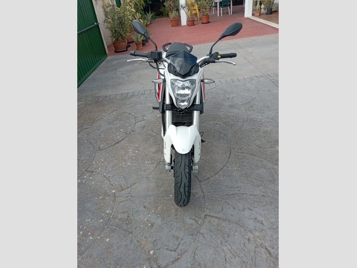 Benelli BN 251  2
