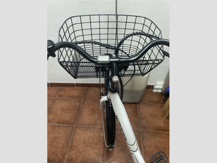 Bicicleta electrica 1