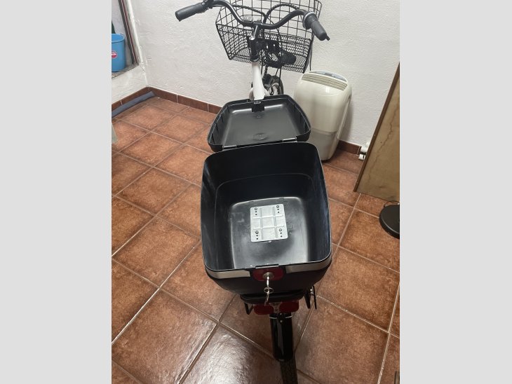 Bicicleta electrica 2