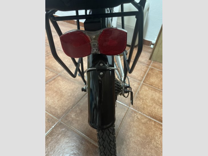 Bicicleta electrica 3