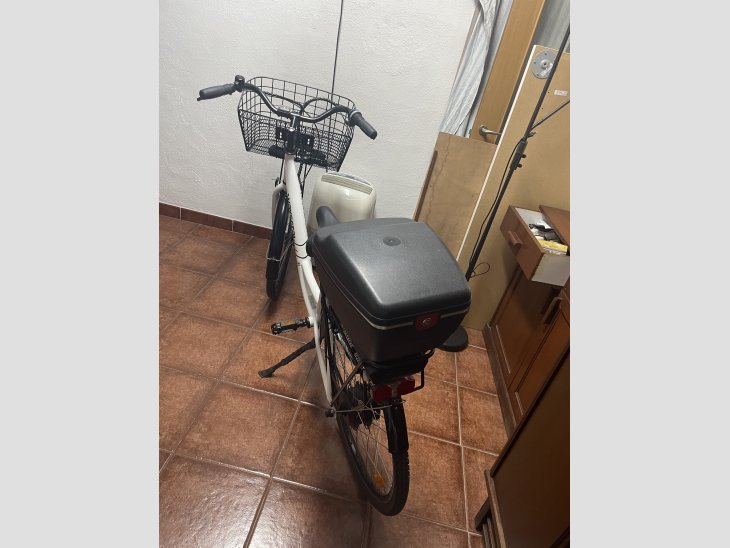 Bicicleta electrica 4